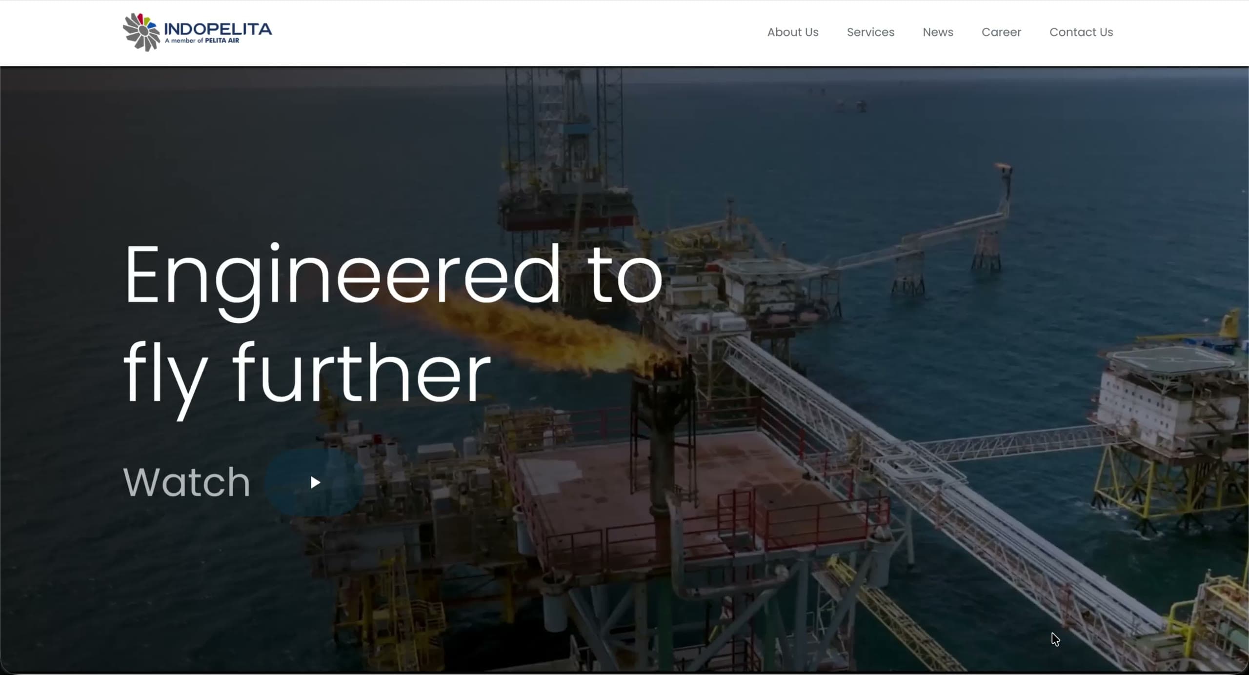 Indopelita, Redesign Indopelita Company Website